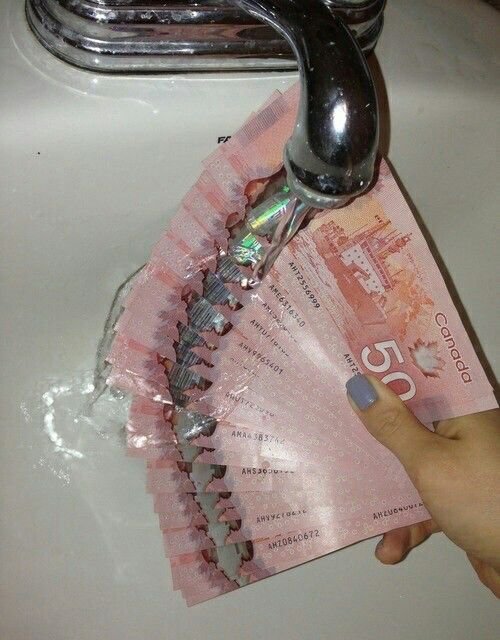50 CAD BILLS - Image 2
